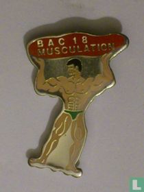 BAC 18 - Musculation