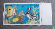 Korallen und Meereslebewesen