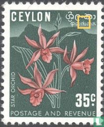 Orchids (type II)