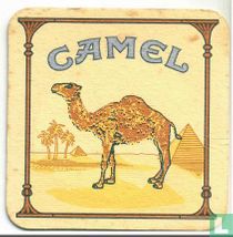 Camel
