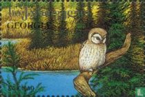 Oiseaux