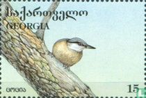 Oiseaux