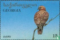 Oiseaux