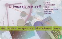 06 Voice response
