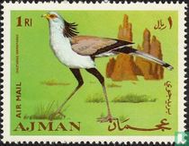 Oiseaux  