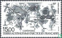 Copépodes