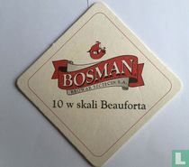 10 w skali Beaufirta