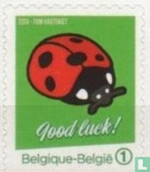 Ladybird