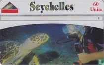 Hawksbill SeaTurtle