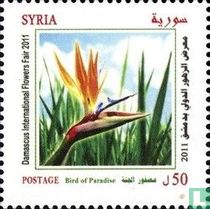 damascus international flowers fair 