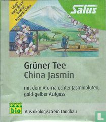 Grüner Tee China Jasmin  
