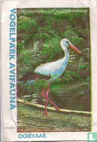 Ooievaar - Vogelpark Avifauna