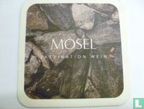 Faszination Wein