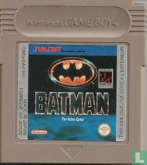 Batman: The Video Game