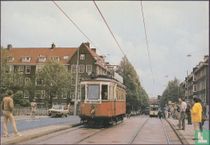 50 jaar NVBS