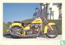 Harley Davidson Softail Custom