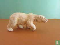 Polar bear