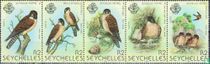 Seychelles kestrel