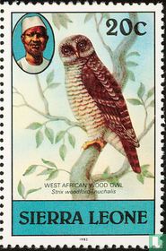 Birds