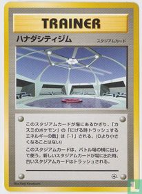 Cerulean City - Hanada City Gym