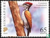 Oiseaux