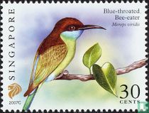 Oiseaux