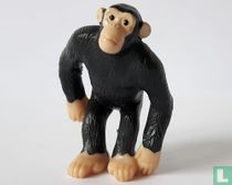Chimpanzé