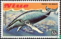 Whales