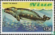 Whales