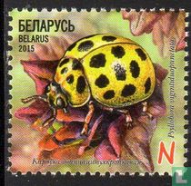 Ladybugs