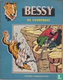 De vuurproef kaufen