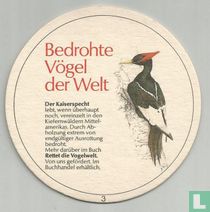 Der Kaiserspecht
