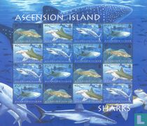 Requins