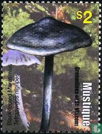Pilze