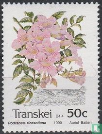 Indigenous flowers