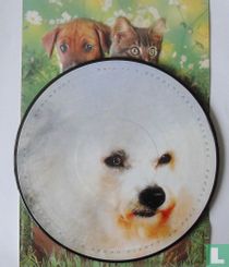 Lassie House