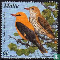 Birds