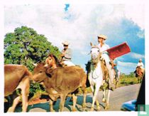Op de weg naar Villahermosa, de hoofdstad...