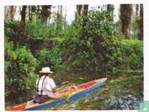 Xochimilco, "de plaats waar de bloemen groeien"...