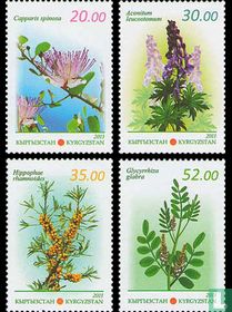 Plantes médicinales