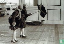 A Sudden Gust
