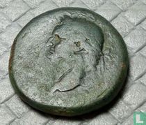 Romeinse Rijk  AE27  (Titus)  79-81 CE 