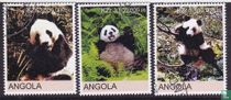 Panda's
