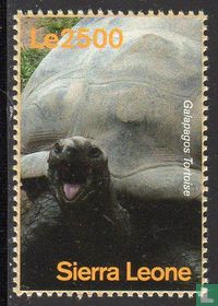 200e anniversaire de Darwin