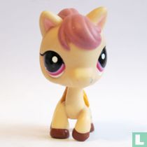 Pony