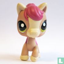 Pony  