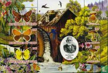 Butterflies and mushrooms