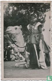 Partisan méhariste