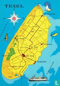 Texel
