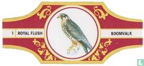 Birds of prey NS (gold) cigar labels catalogue